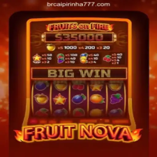 Exploring the Exciting Features of FruitNova: A Trusted Online Casino Experience